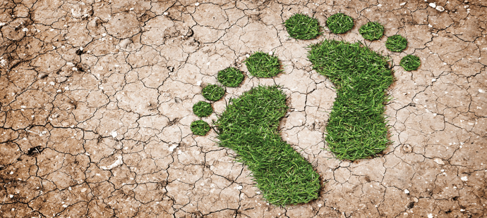 7 Green Upgrades That Will Reduce Your Home’s Footprint