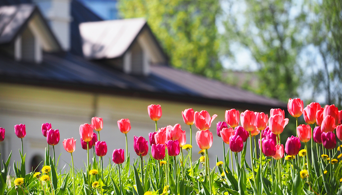 spring housing market trends