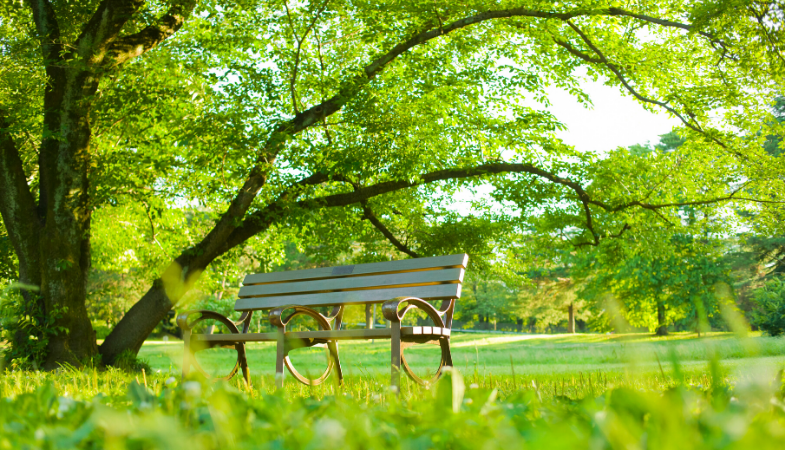 Best Places to Live 2022: Saskatoon Real Estate