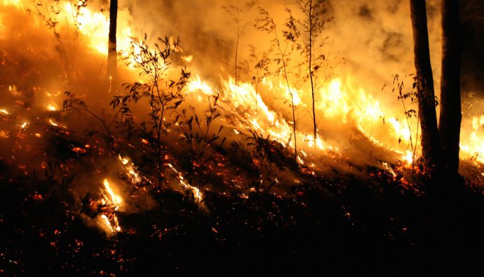 RE/MAX Agents Across Canada Help Fort McMurray