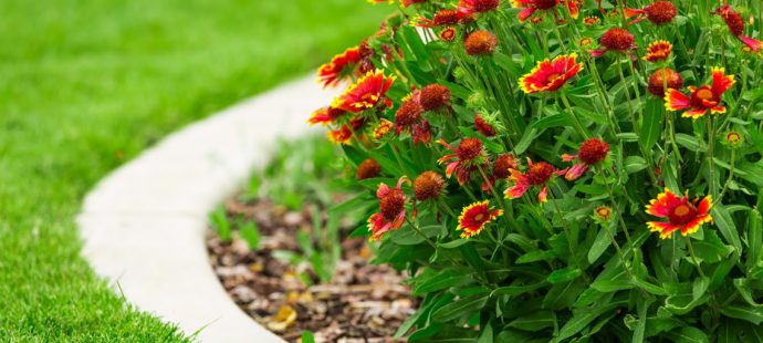 Sellers’ Tips for the Best Backyard on the Block