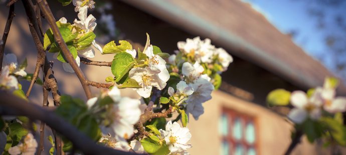 Benefits of Listing Your Home in the Spring