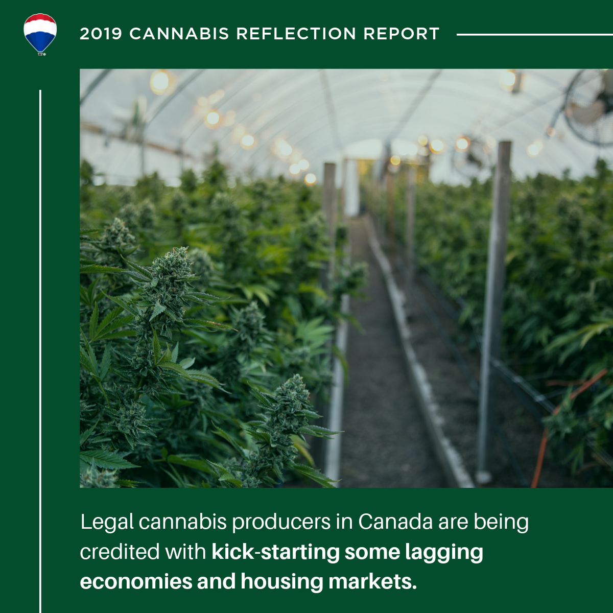 Cannabis Reflection Report-7
