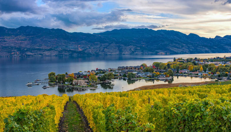 Okanagan Real Estate Isn’t Just for Retirees Anymore