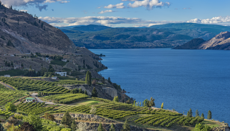 What is Happening in the Penticton Housing Market?