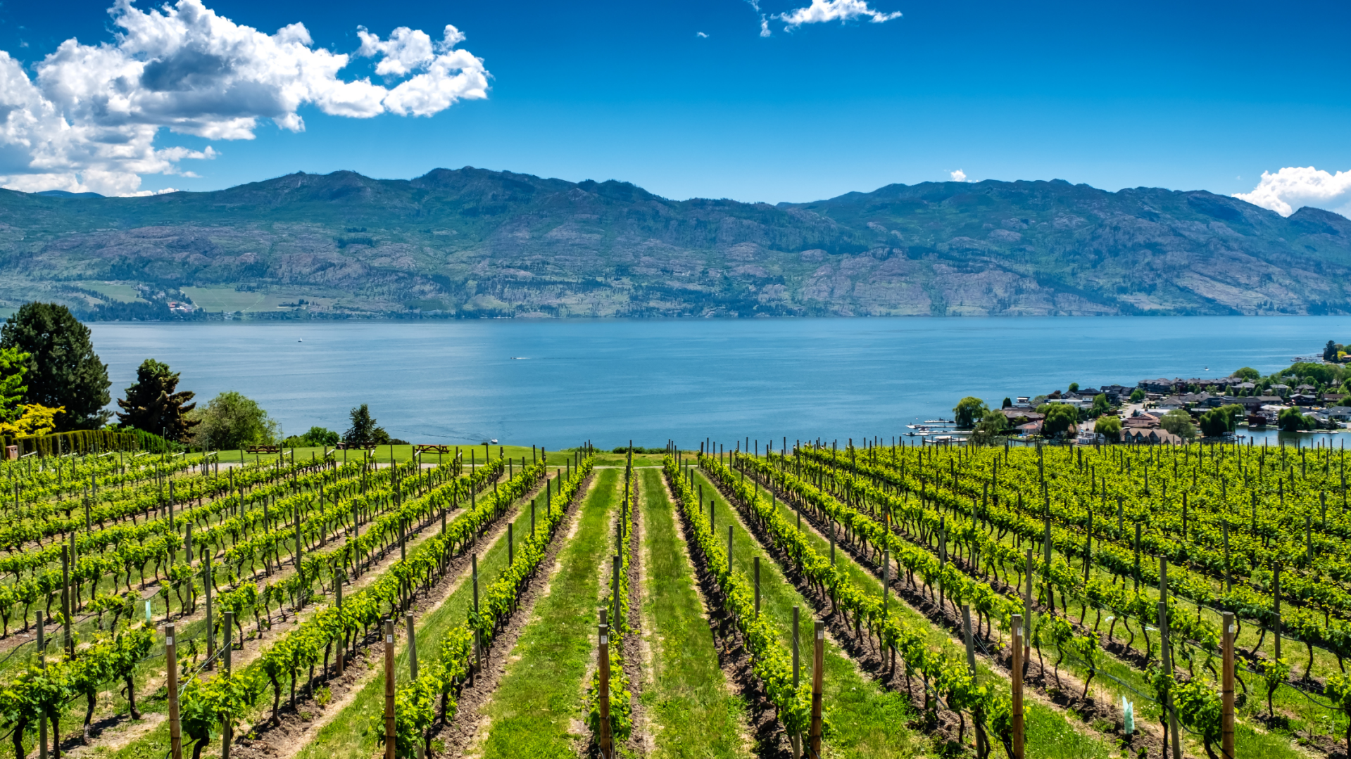 Conditions Remain Hot in the Okanagan Real Estate Market
