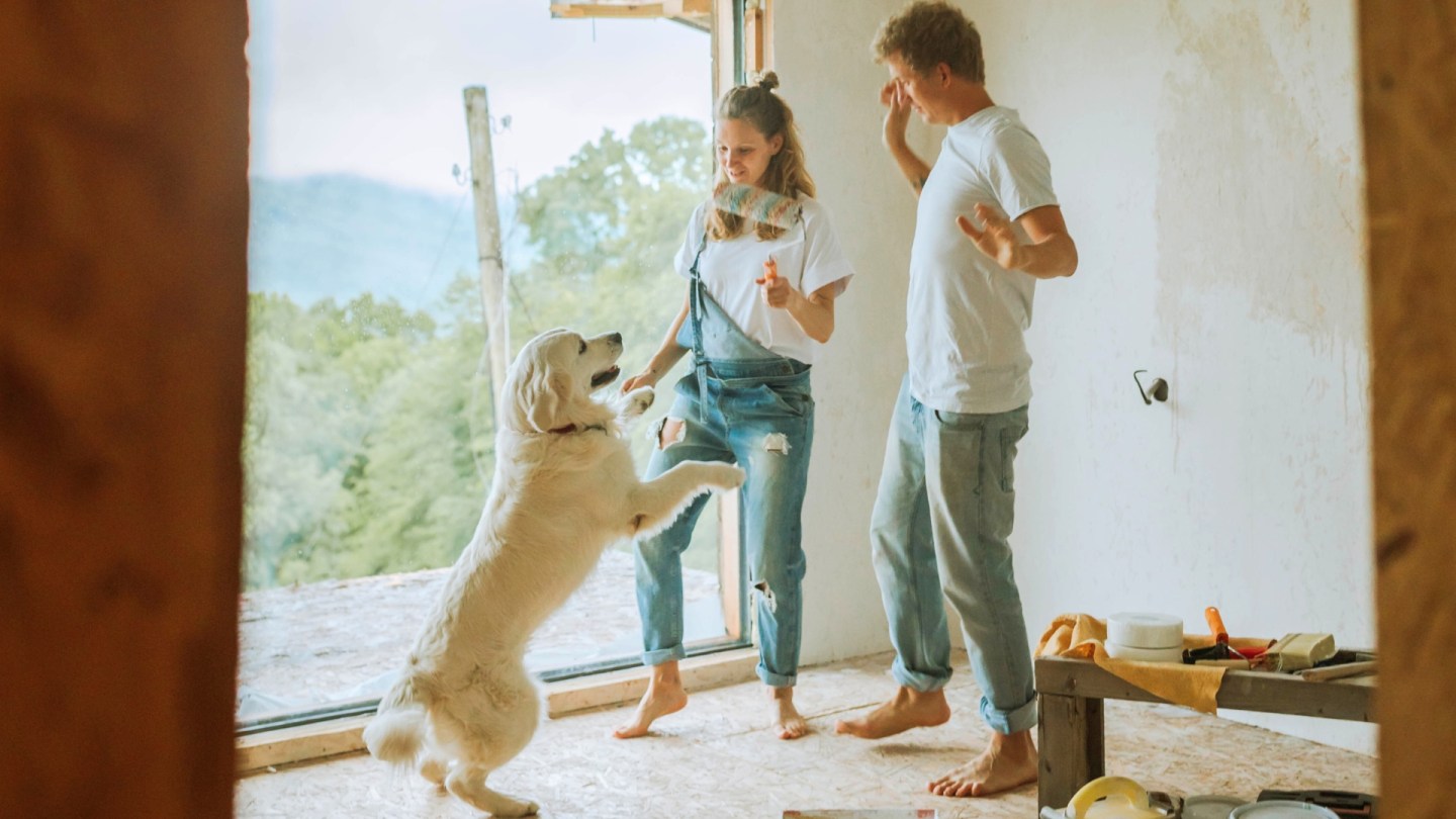 Top Tips for Making Your Home Renovation Pet-Friendly