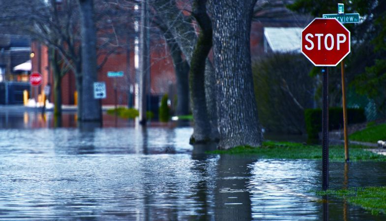 Climate Change Risk Disclosure when Selling Real Estate in Canada