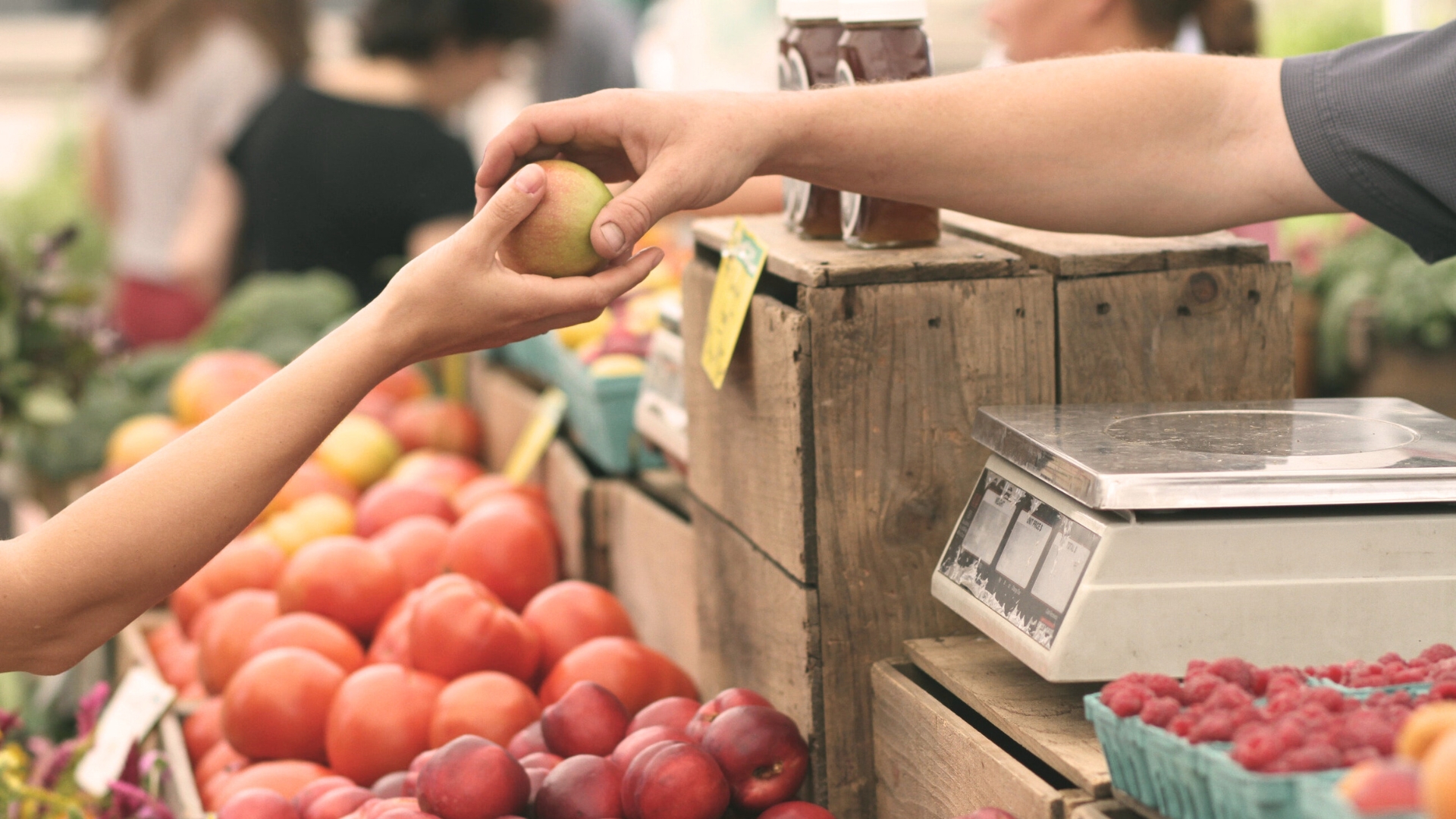 5 Advantages of Living in the Suburbs That Nobody Talks About