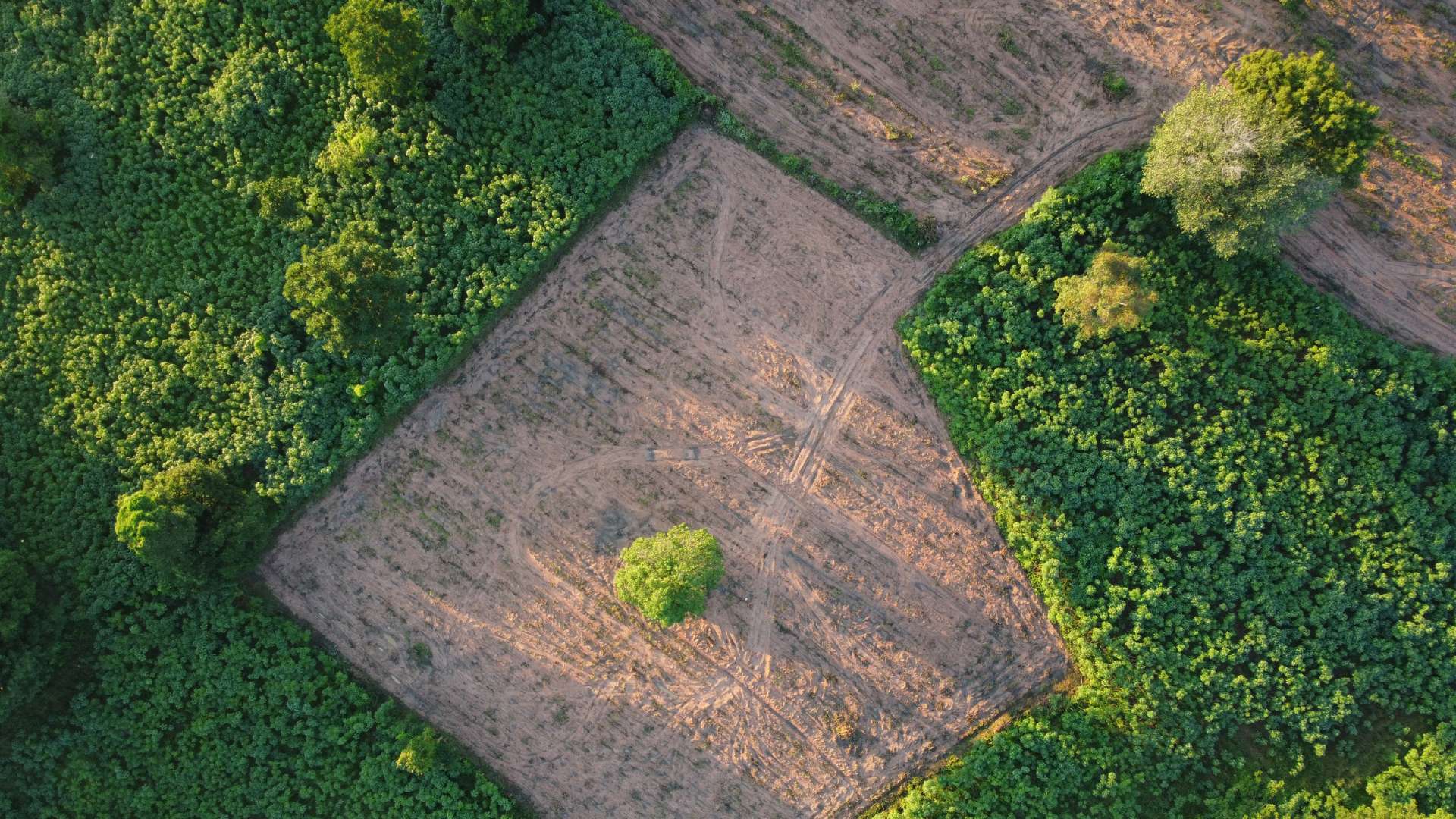 Land Sales Remain Solid in Major Canadian Centres