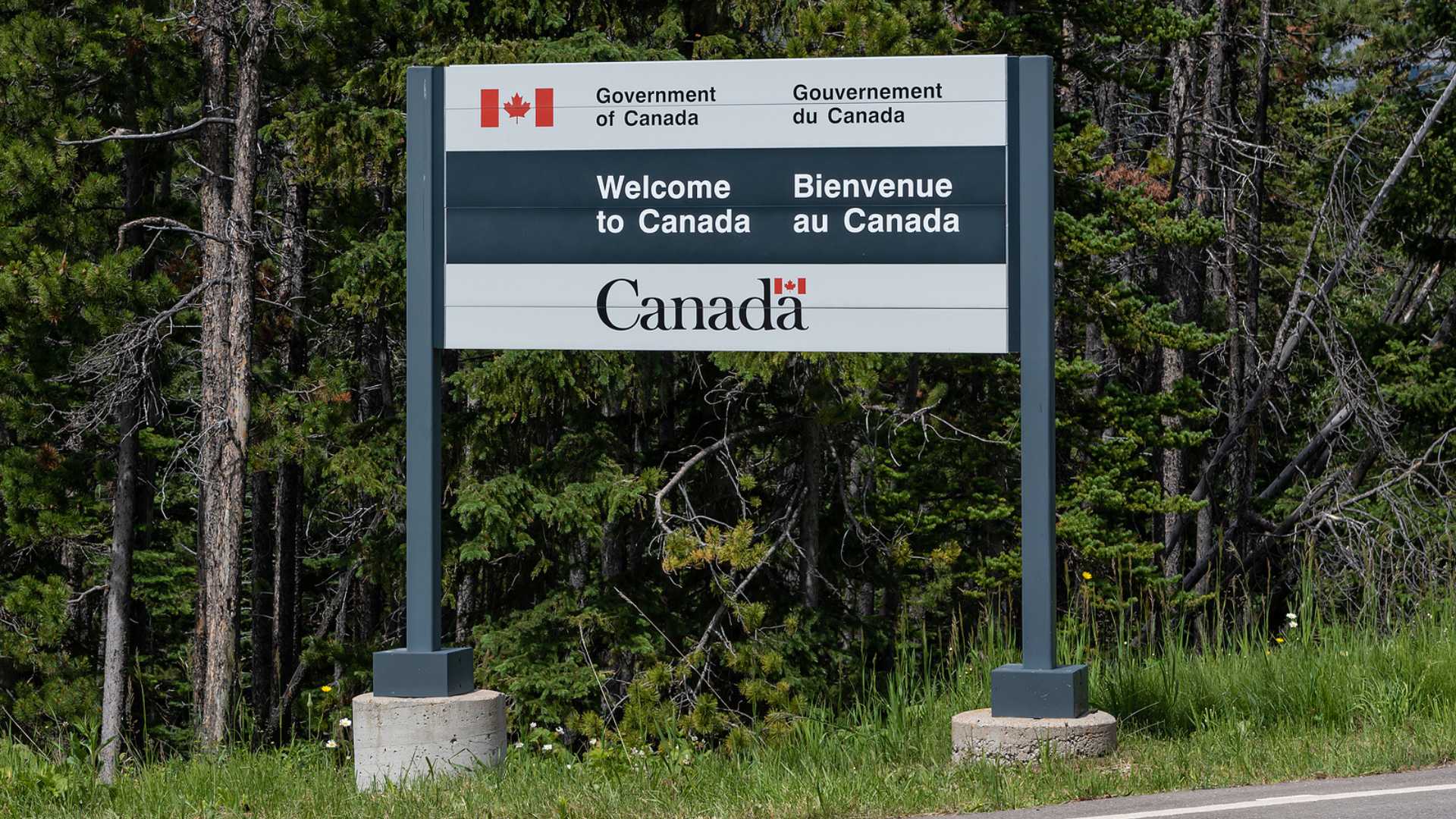 How Canada’s Record-Breaking Immigration is Affecting Commercial Real Estate