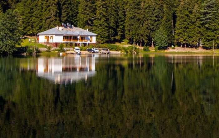 Cabin and Cottage Trends Across Canada