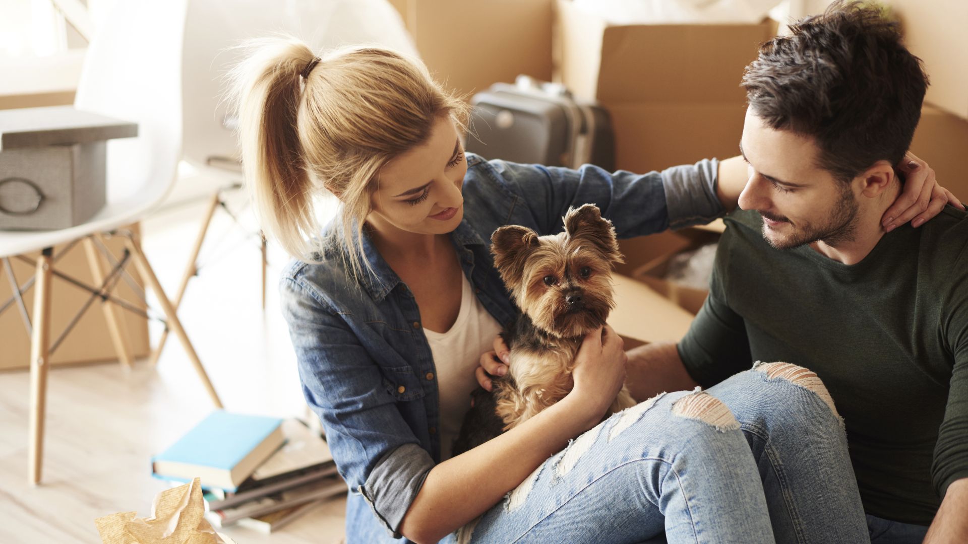 Moving and Living With Pets: A Complete Guide
