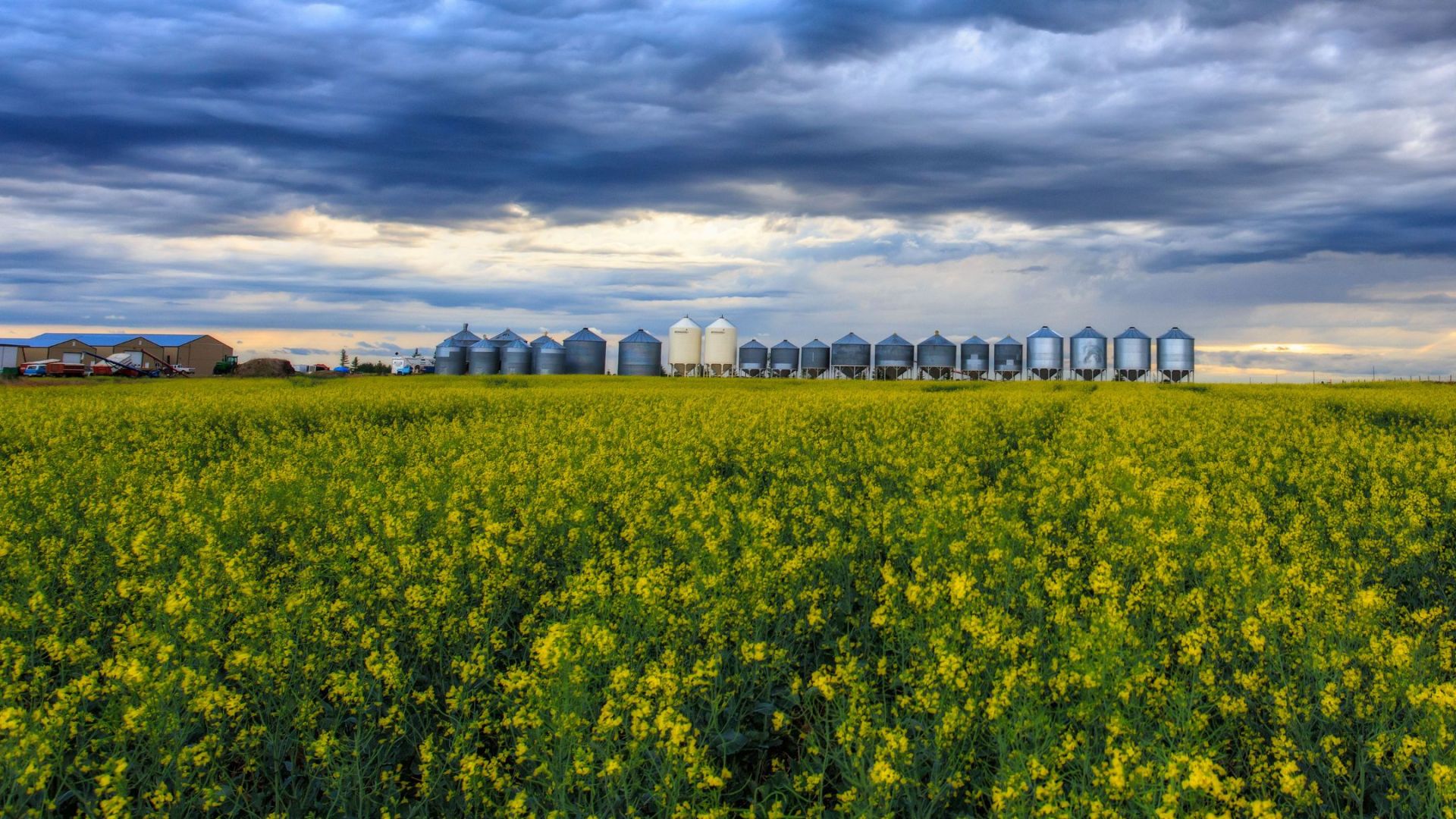 Saskatoon Commercial Real Estate Overview (2025)