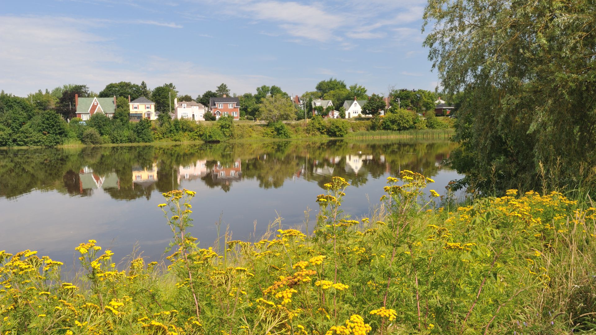 Best Neighbourhoods in Moncton (2025)