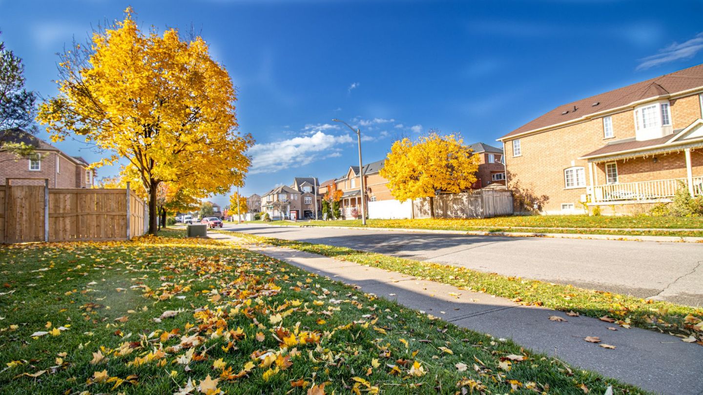 Best Neighbourhoods in Brampton (2024)
