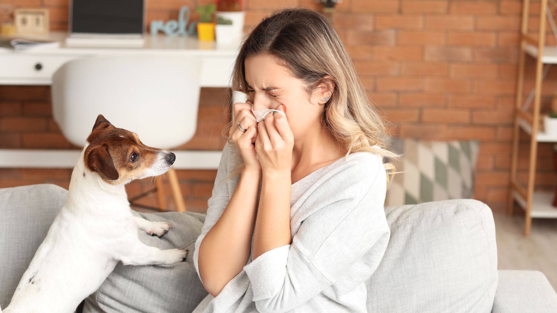 Keeping Your Home Ready to Show When You Have Pets